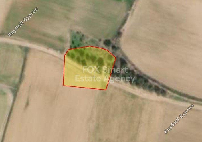 2007 SQM Land for sale in Akaki, Nicosia 16023603