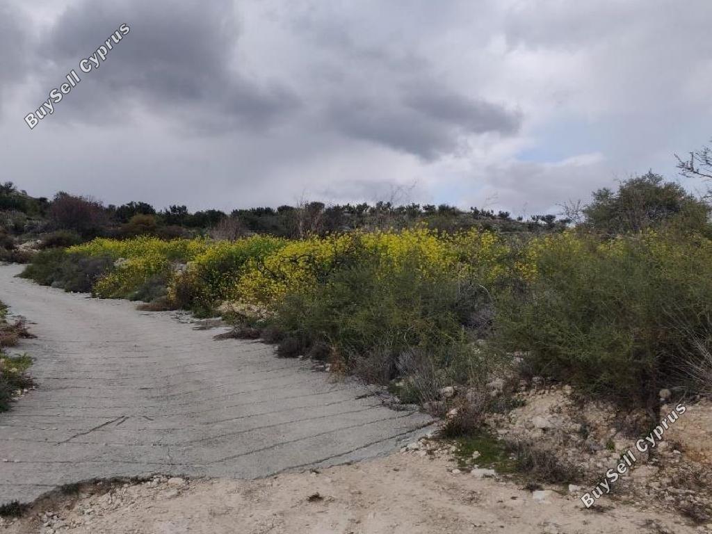 land for sale pachna limassol 8630032 image 16656556