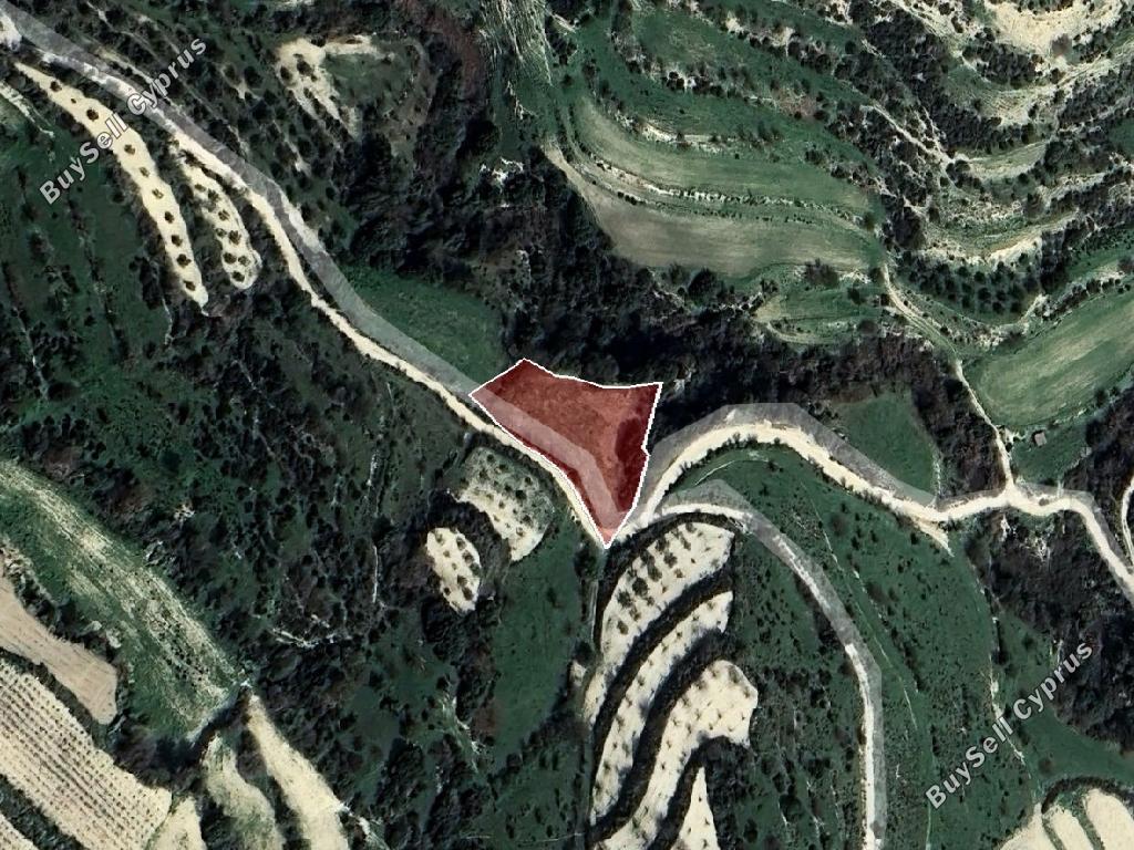 land for sale kallepeia paphos 7533132 image 15596863