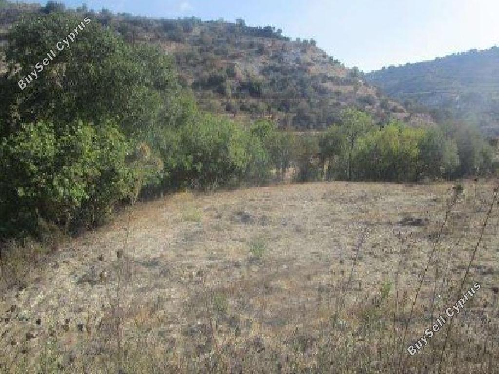 land for sale kallepeia paphos 7533132 image 15596864