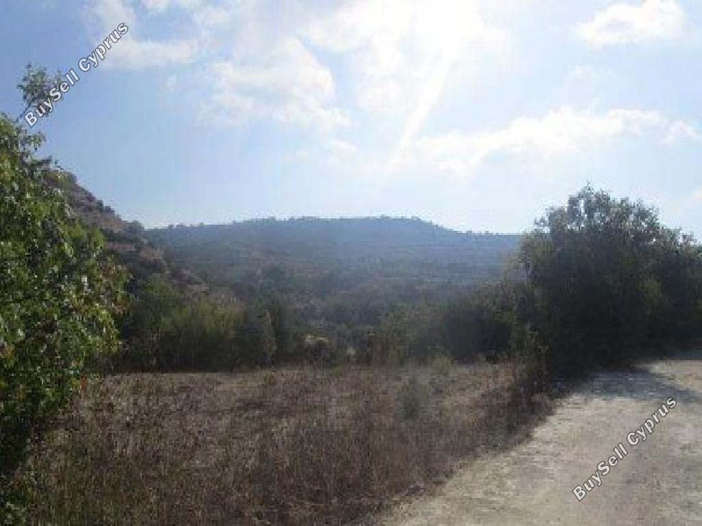 land for sale kallepeia paphos 7533132 image 15596865