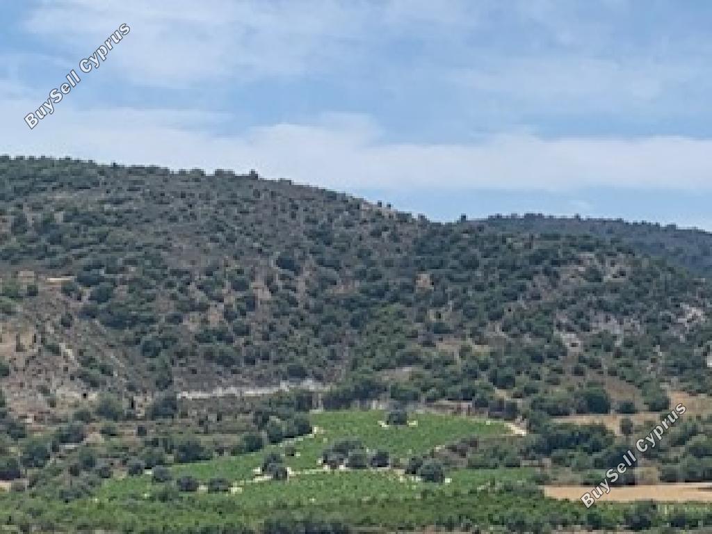 land for sale kannaviou paphos 1648132 image 15598214