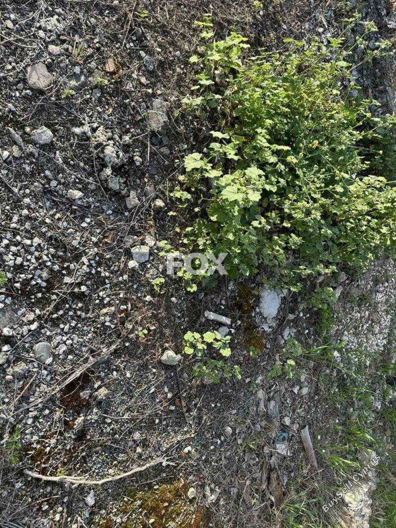 plot for sale anarita paphos 1270132 image 15924780