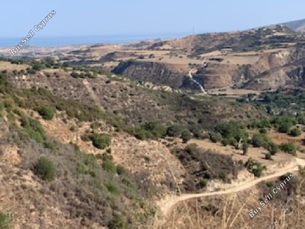 8027 SQM Land for sale in Loukrounou, Paphos 15597155
