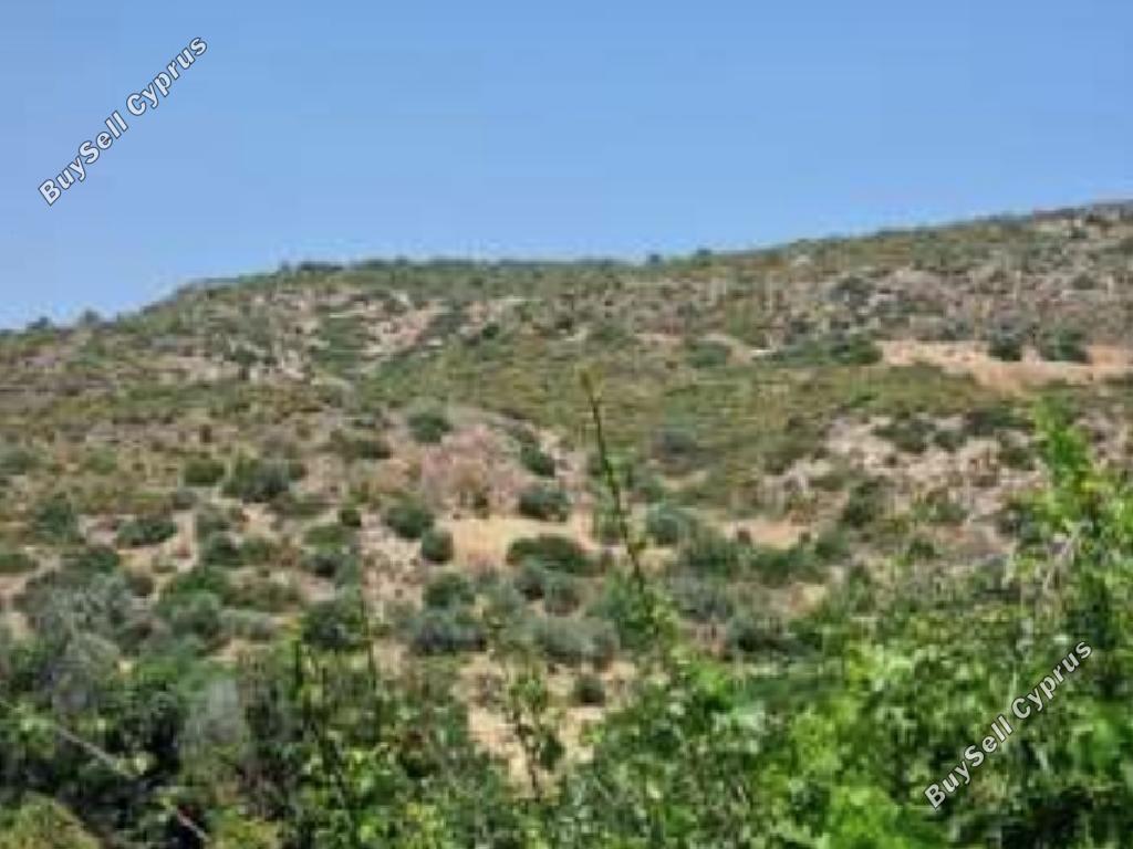 land for sale agios theodoros larnacas larnaca 8716232 image 16295230