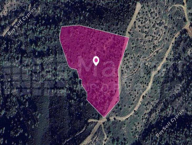land for sale lythrodontas nicosia 7872232 image 14891905