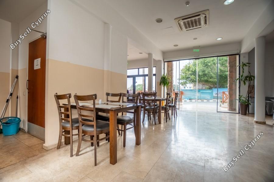 studio hotel for sale kato paphos paphos 8626232 image 16409584
