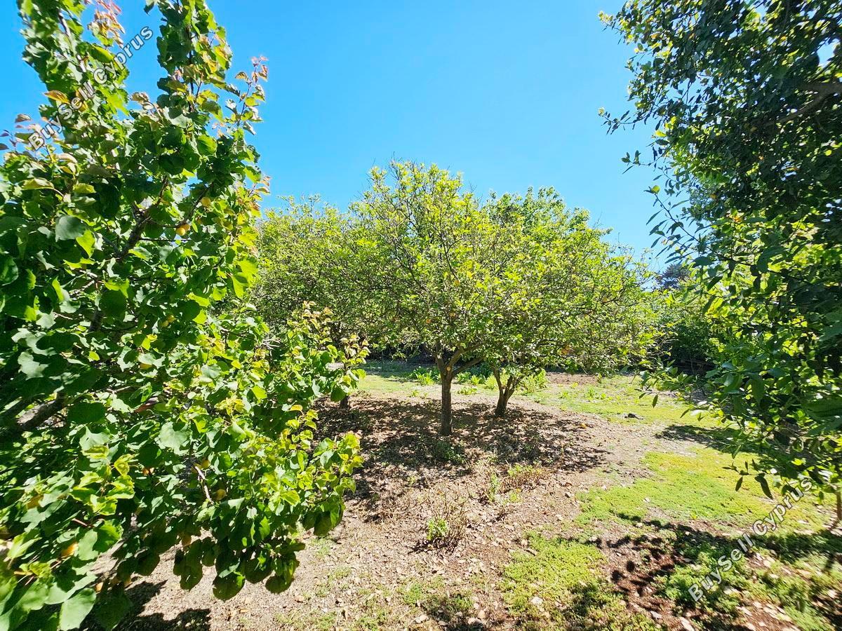 3 bedroom linked detached house for sale pano arodes paphos 8755332 image 16513488
