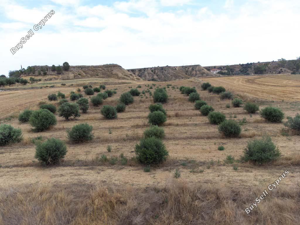 land for sale pera orinis nicosia 8139332 image 15907238