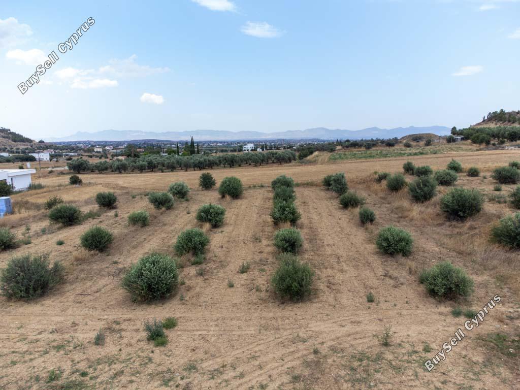 land for sale pera orinis nicosia 8139332 image 15907239