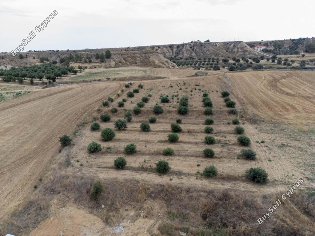 land for sale pera orinis nicosia 8139332 image 15907241