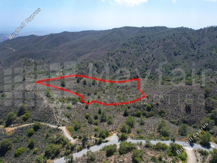 37125 SQM Plot for sale in Sanida, Limassol 15884619