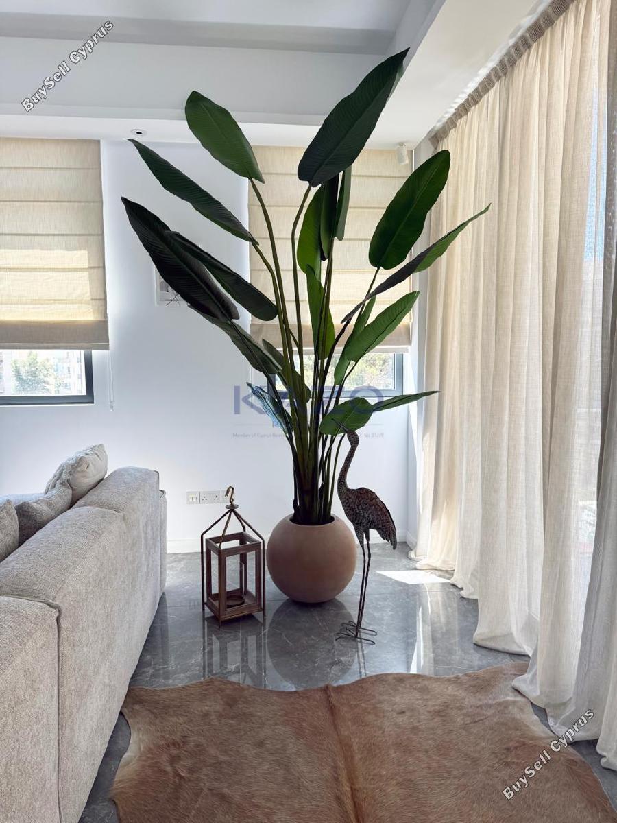 2 bedroom apartment for rent agios nicolaos limassol 8633432 image 15880951