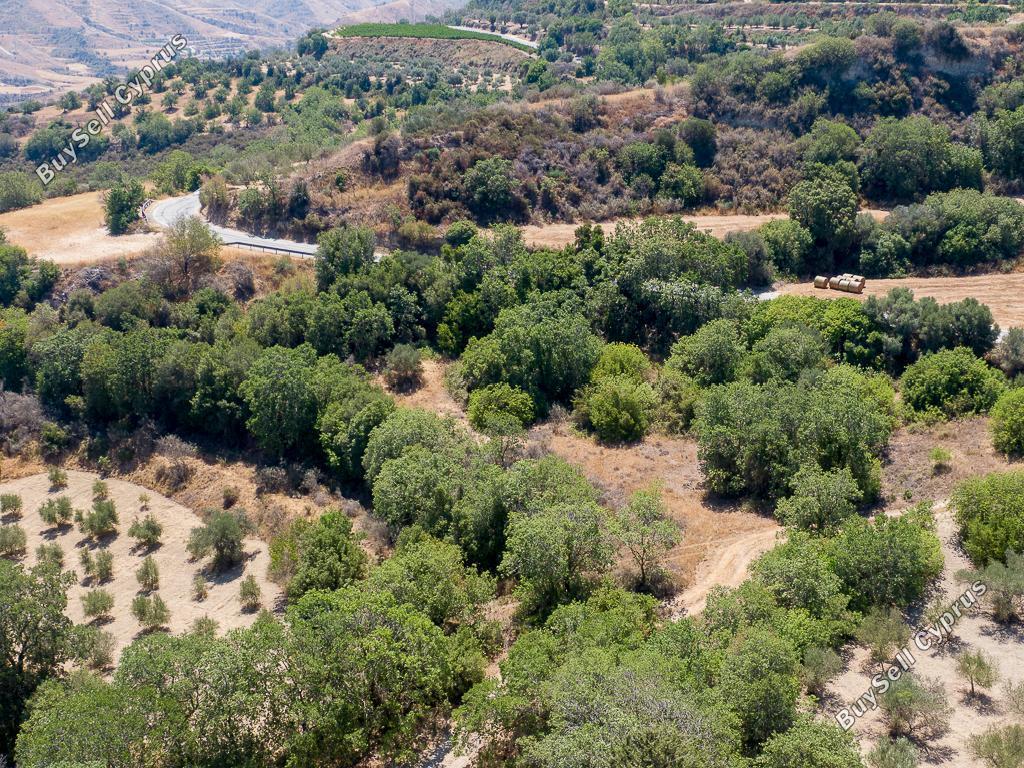 land for sale kato akourdalia paphos 1721432 image 15597268