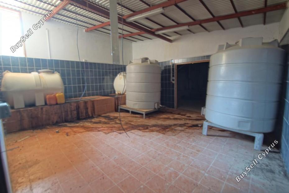 land for sale lemona paphos 7756432 image 15907398