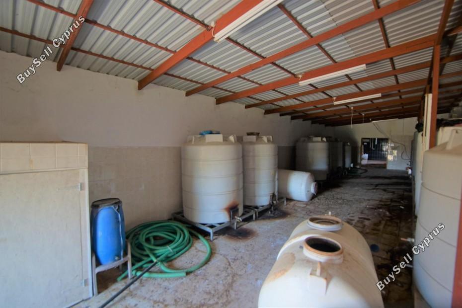 land for sale lemona paphos 7756432 image 15907400