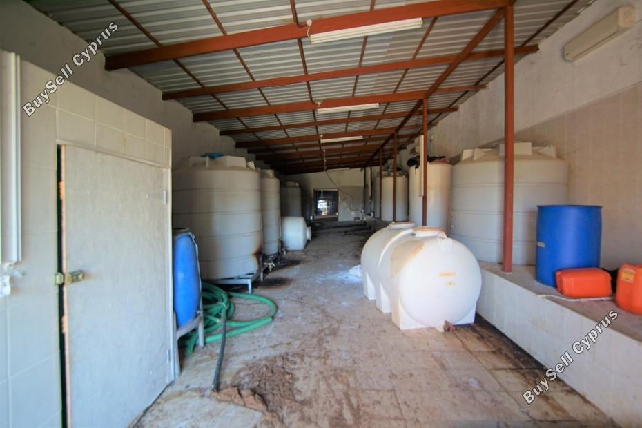 land for sale lemona paphos 7756432 image 15907401
