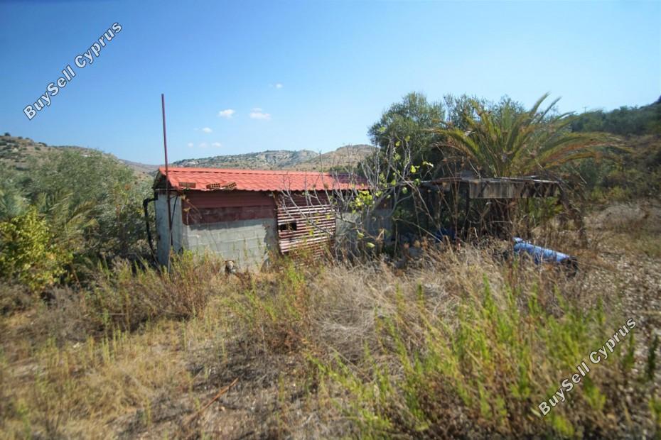 land for sale lemona paphos 7756432 image 15907404