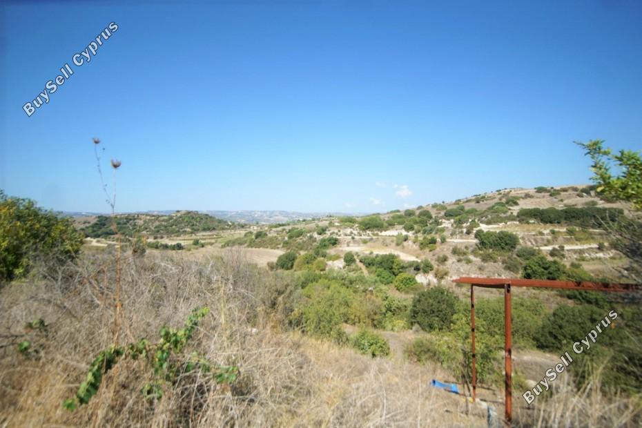 land for sale lemona paphos 7756432 image 15907405