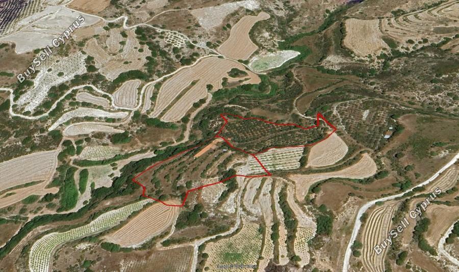 land for sale lemona paphos 7756432 image 15907406