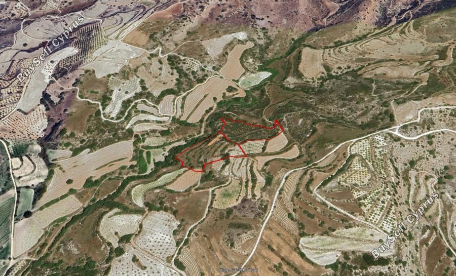 land for sale lemona paphos 7756432 image 15907407