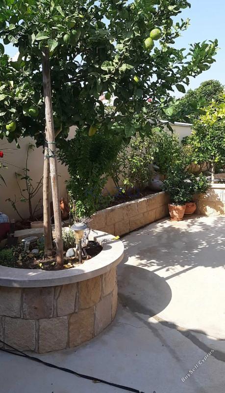 2 bedroom semi detached house for sale apostolos andreas limassol limassol 7718532 image 14506444
