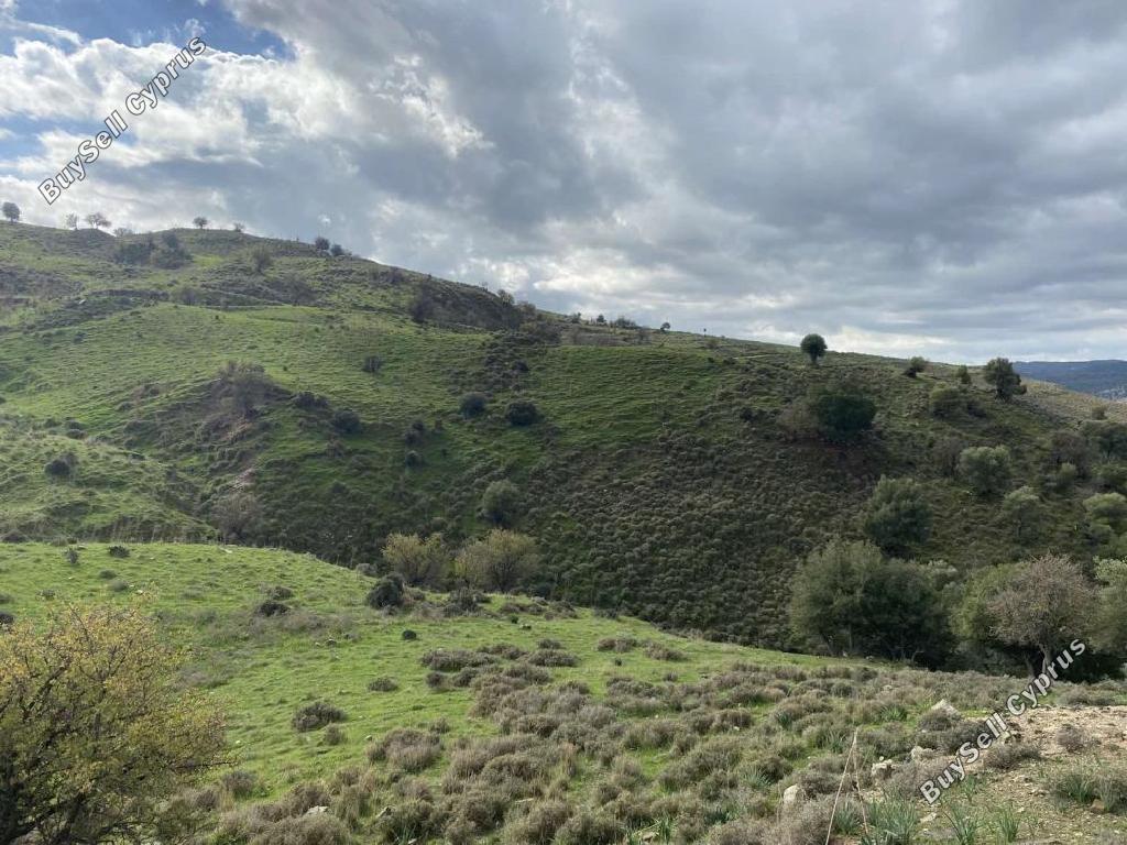 land for sale kelokedara paphos 8629532 image 16717888