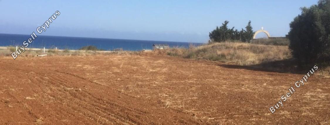 land for sale nea dimmata paphos 8395532 image 14820151