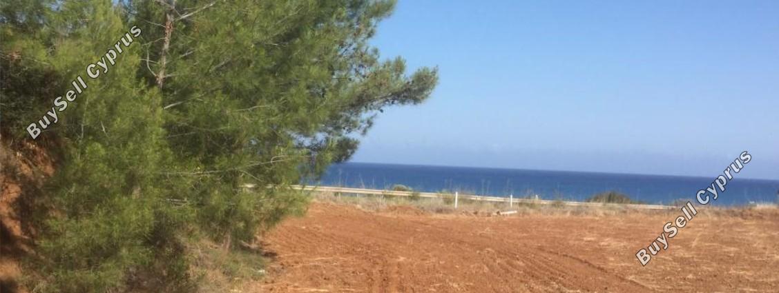 land for sale nea dimmata paphos 8395532 image 14820152
