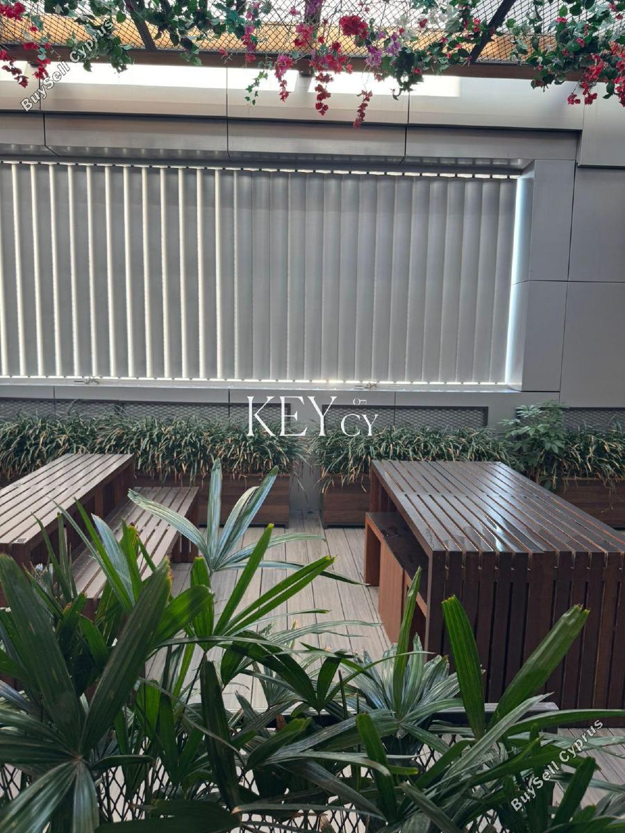 studio office for rent linopetra limassol 8890532 image 17320622