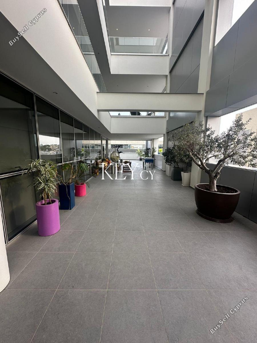 studio office for rent linopetra limassol 8890532 image 17320634