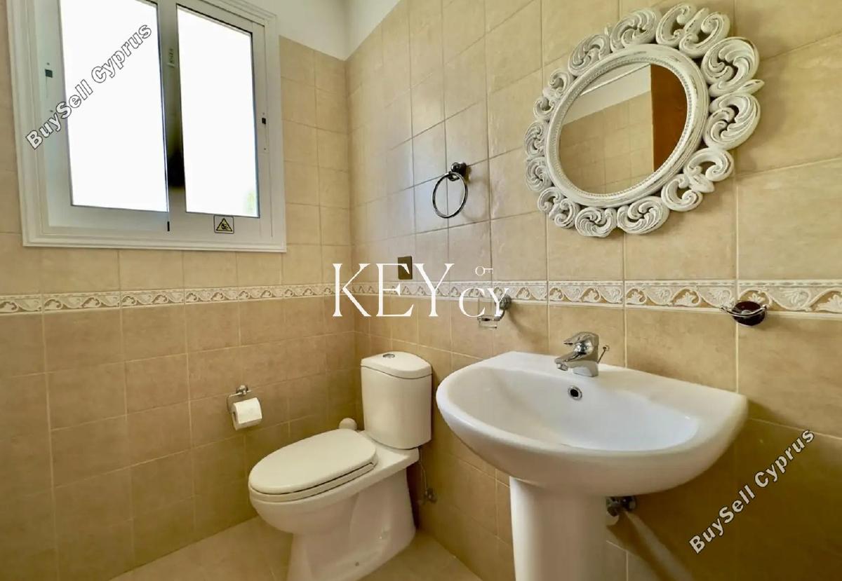1 bedroom apartment for rent kato paphos universal paphos 8890632 image 17320890