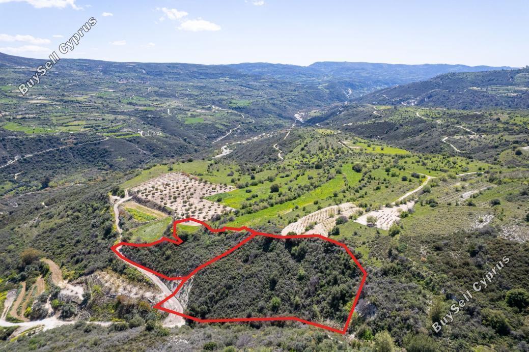 6931 SQM Land for sale in Arminou, Paphos 7332600