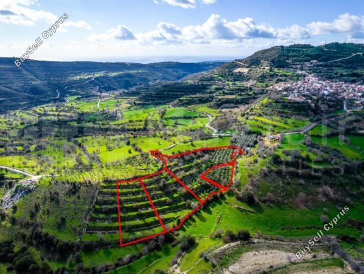 plot for sale dora limassol 7871632 image 13374124