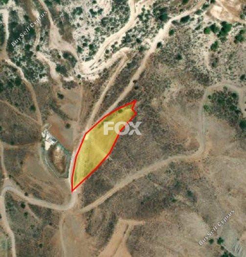 land for sale peyia paphos 1159732 image 14827237