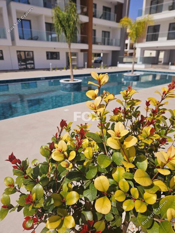 studio apartment for sale kato paphos universal paphos 8771732 image 16579507