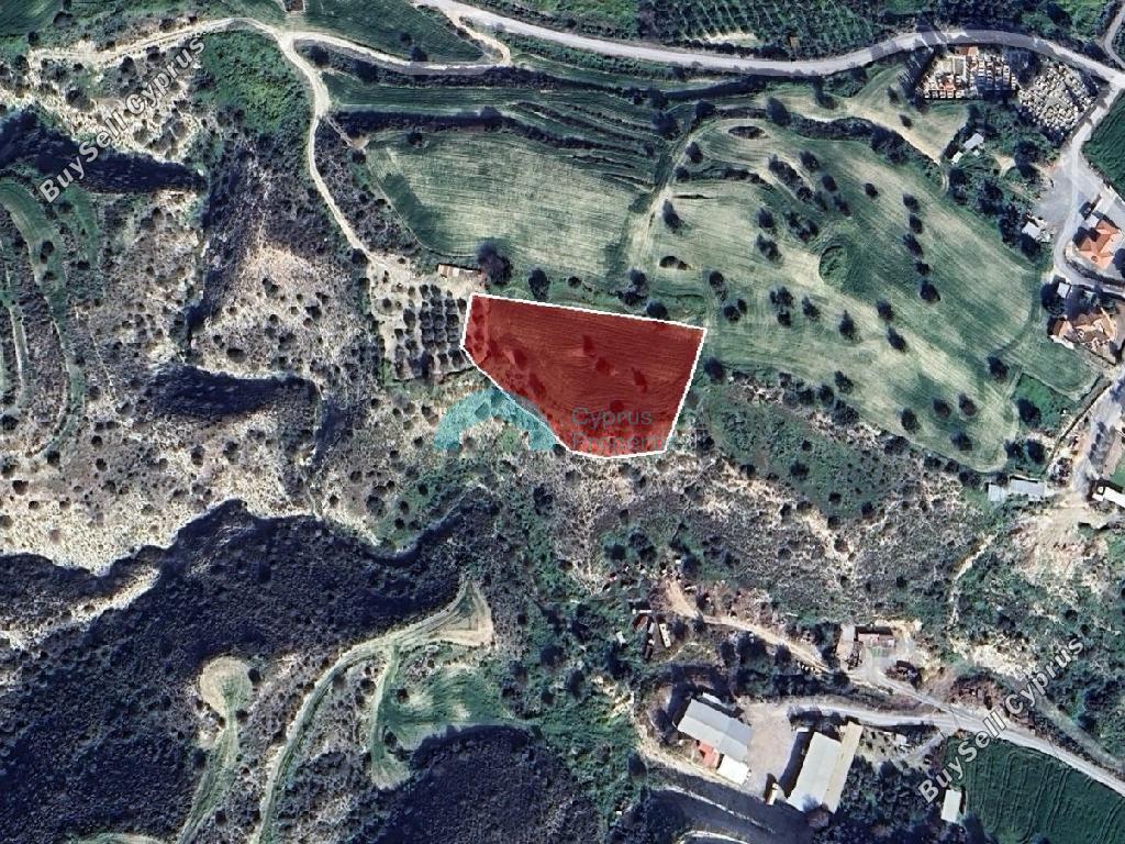 land for sale agios theodoros larnacas larnaca 7750832 image 10274025
