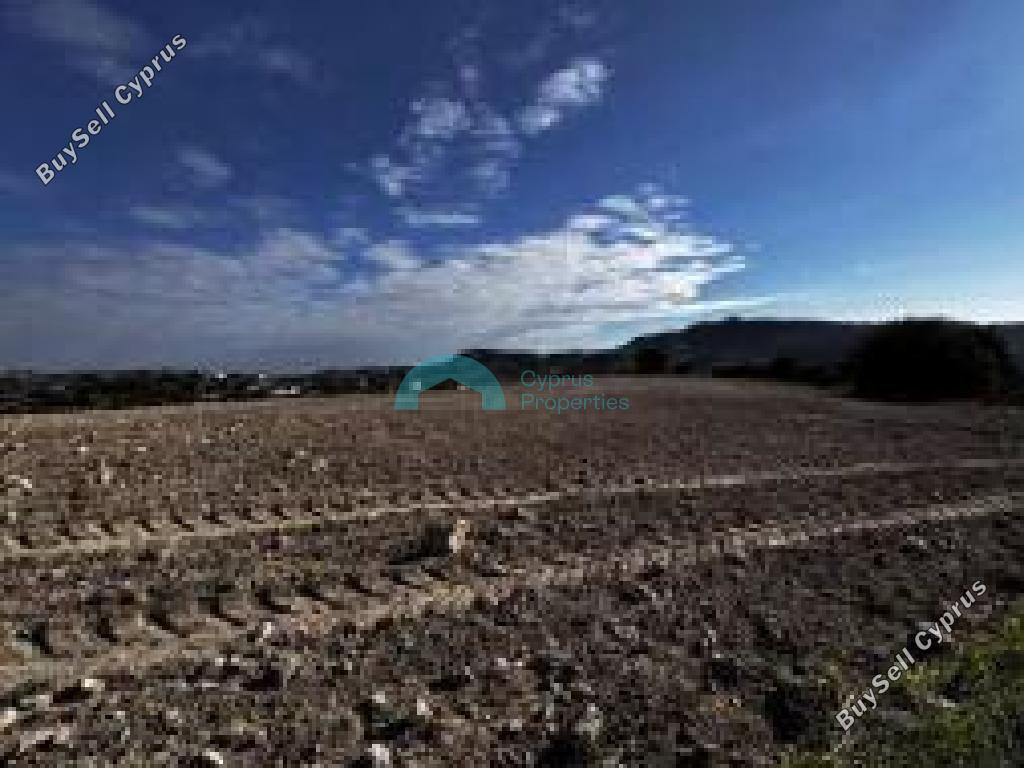 land for sale agios theodoros larnacas larnaca 7750832 image 10274026