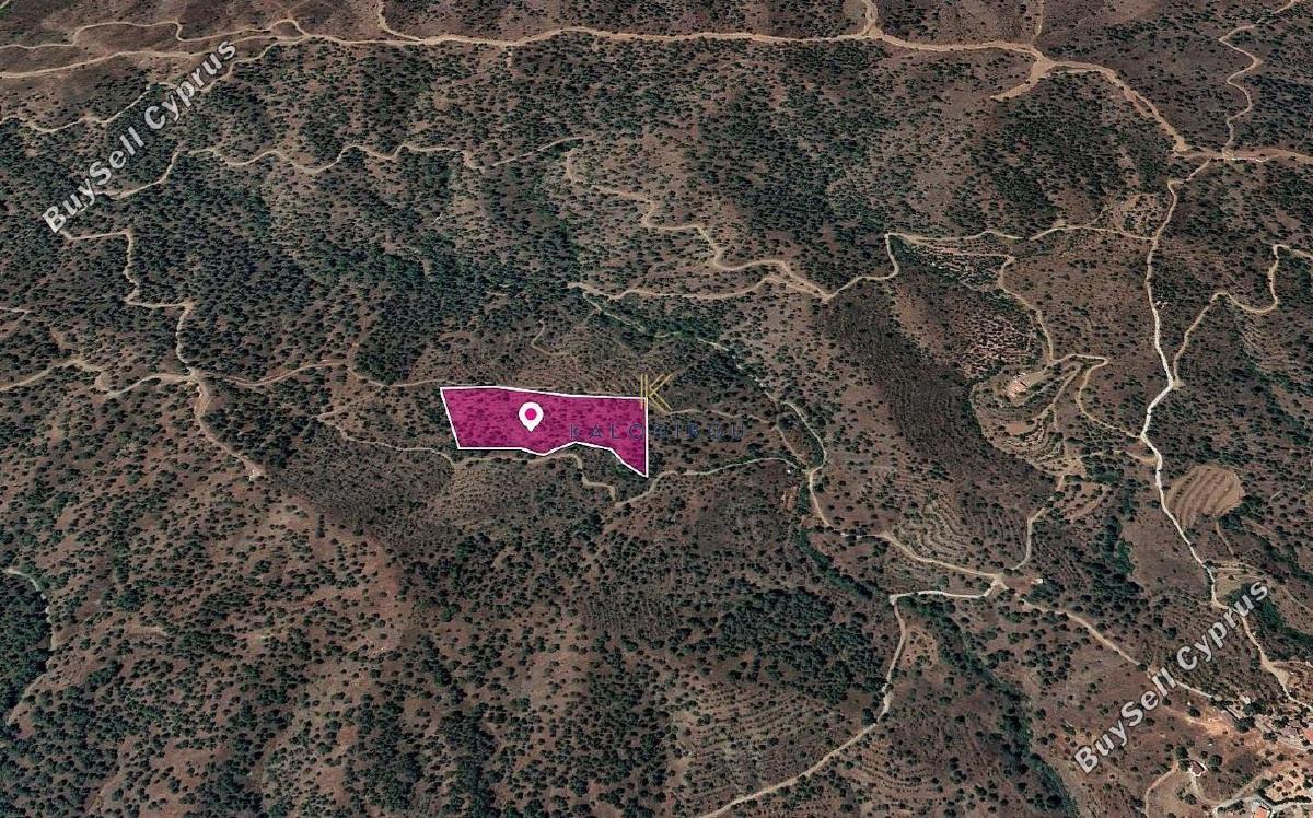 land for sale agios theodoros soleas nicosia 1649832 image 5661739