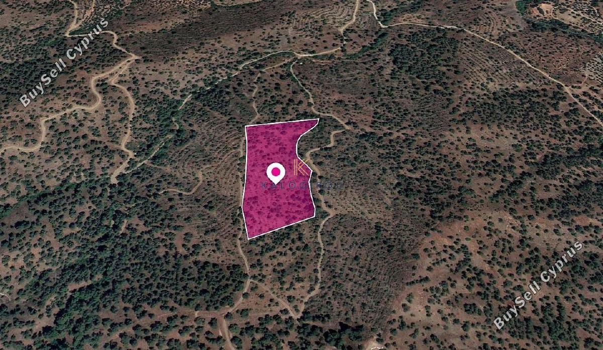 land for sale agios theodoros soleas nicosia 1649832 image 5661742