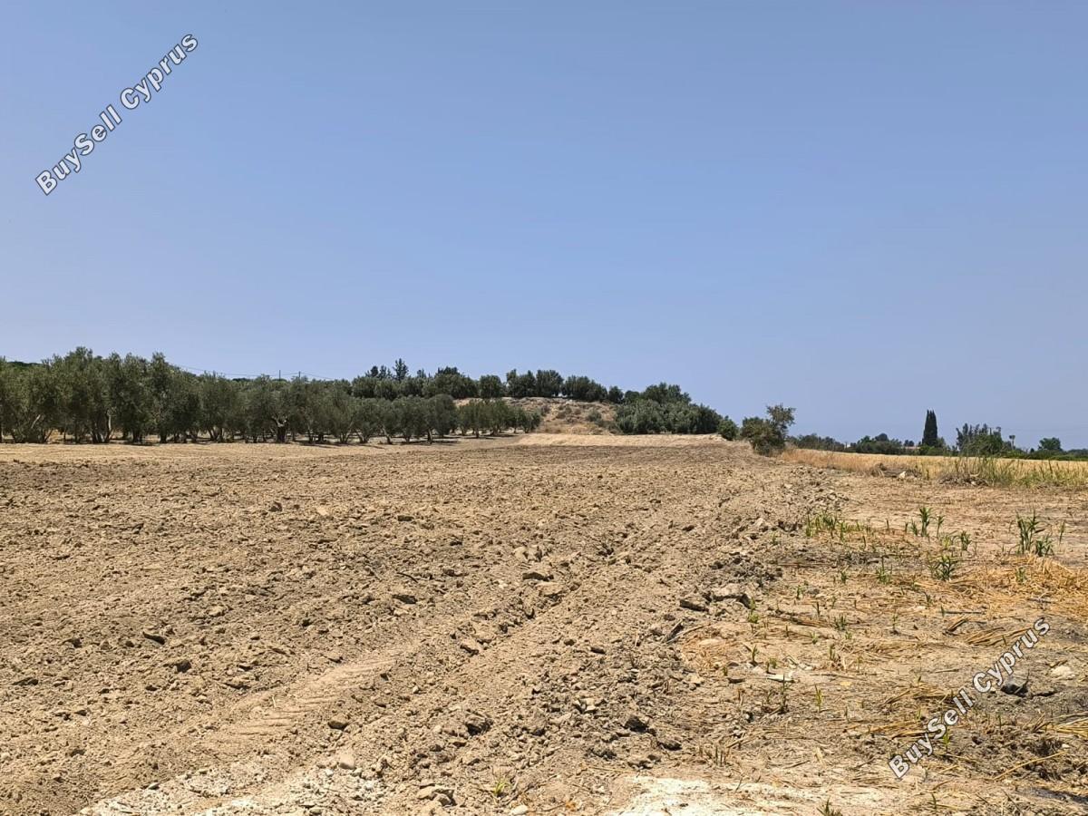land for sale prodromi paphos 8395832 image 14822010
