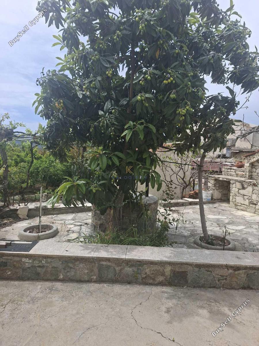3 bedroom bungalow for sale ora larnaca 8692932 image 17210620