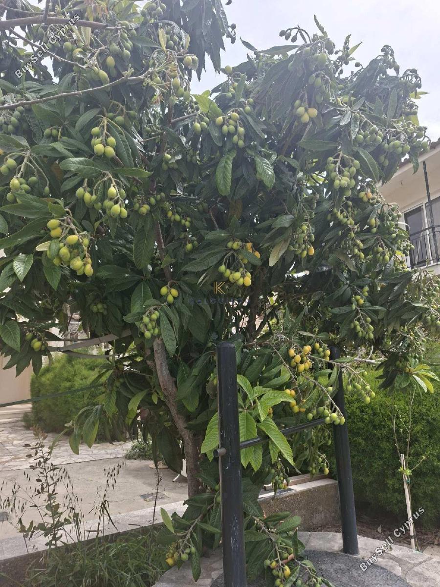 3 bedroom bungalow for sale ora larnaca 8692932 image 17210621
