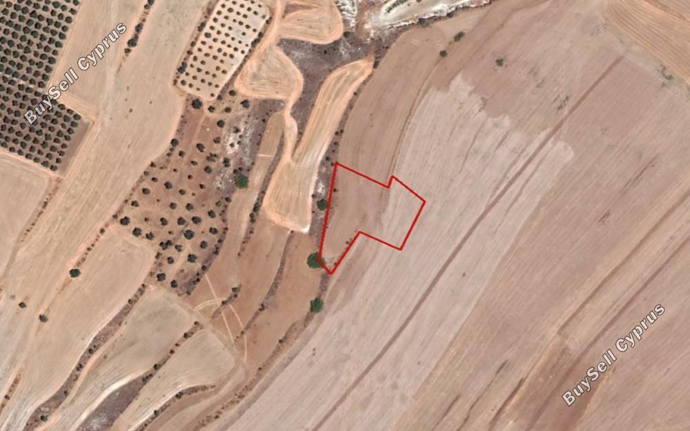 land for sale agia varvara nicosias nicosia 829932 image 2827419
