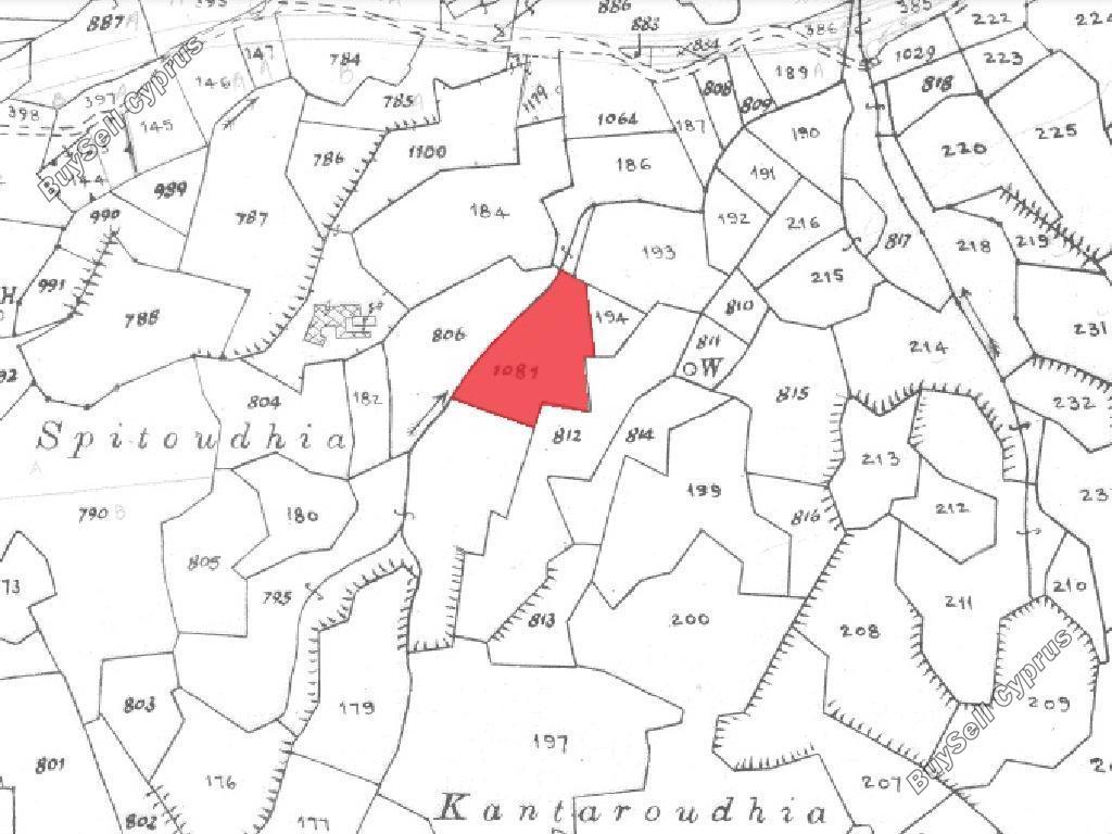land for sale agrokipia nicosia 8412932 image 15005150
