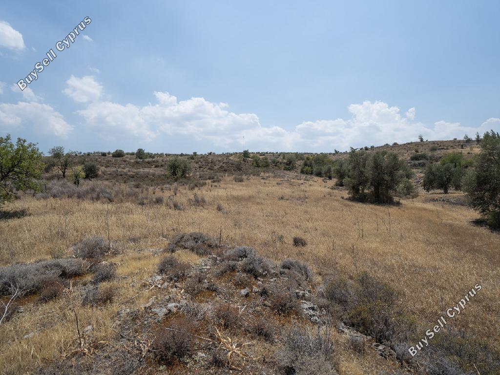 land for sale agrokipia nicosia 8412932 image 15005154