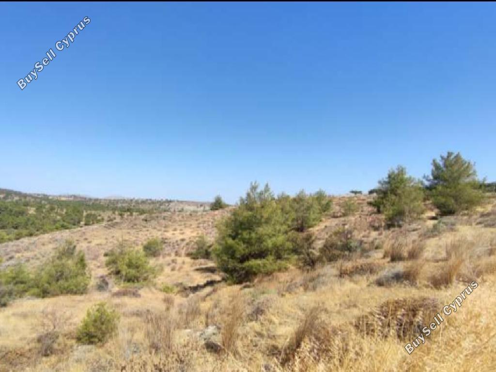 land for sale kampia nicosia 992932 image 7640468