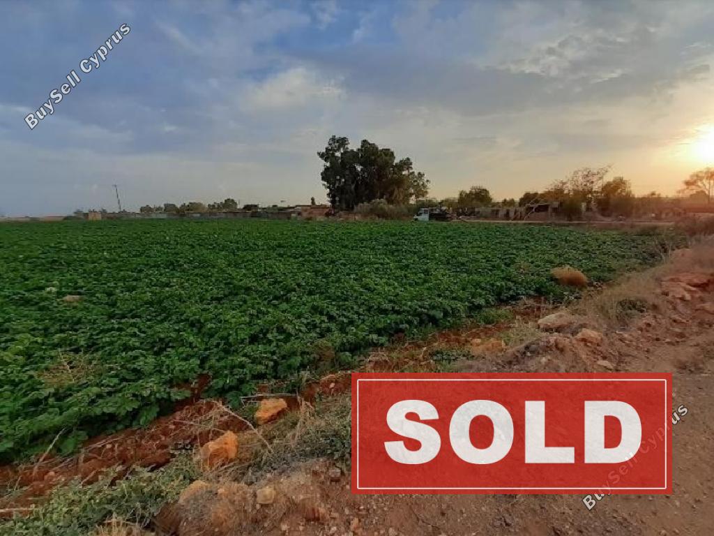 land sold liopetri famagusta 939932 image 836824