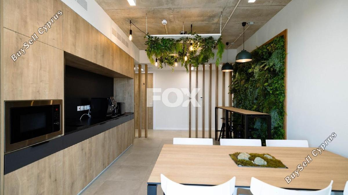 studio office for rent zakaki limassol 1593932 image 14175130