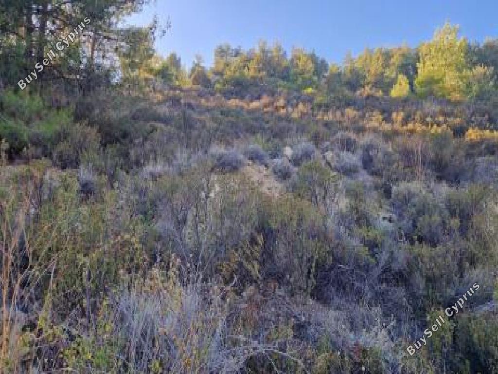 land for sale pelendri limassol 7580042 image 15597334